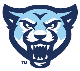 Mount Vernon Nazarene University banner logo