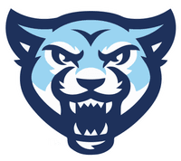 Mount Vernon Nazarene University banner logo