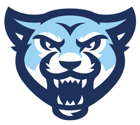 Mount Vernon Nazarene University banner logo